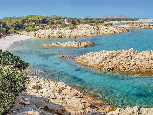 Holiday apartment - 4 persons -  - Via Su Vrangone snc - 08028 - Orosei