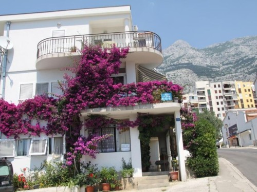Ferienwohnung - 2 Personen -  - Ulica Kipara Meštrovica - 21300 - Makarska