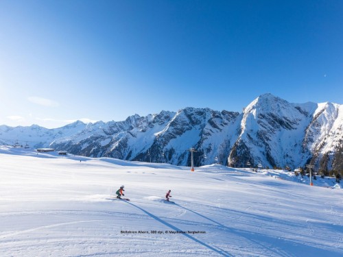 Ferienhaus - 8 Personen -  - 6284 - Ramsau Im Zillertal