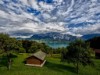 Bild 19