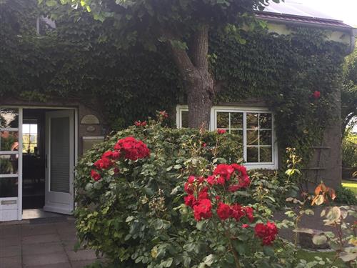 Semesterlägenhet - 3 personer -  - Edomsharder Weg - 25845 - Nordstrand