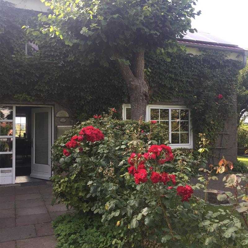 Ferielejlighed - 3 personer -  - Edomsharder Weg - 25845 - Nordstrand