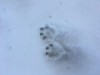 Bild 19 - Inde