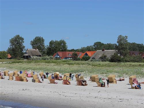 Ferielejlighed - 4 personer -  - Hooghaas - 18347 - Wustrow