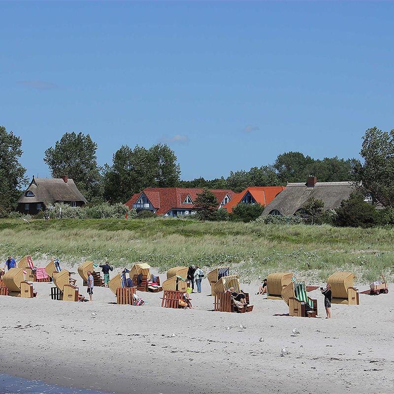 Ferielejlighed - 4 personer -  - Hooghaas - 18347 - Wustrow