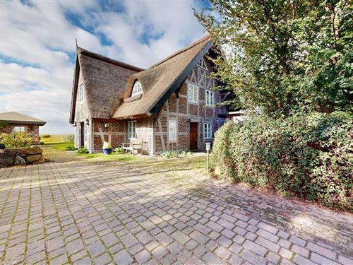 Feriehus - 4 personer -  - Dörpstraat - 18586 - Klein Zicker