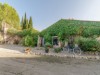 Bild 33