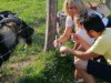 Bild 17
