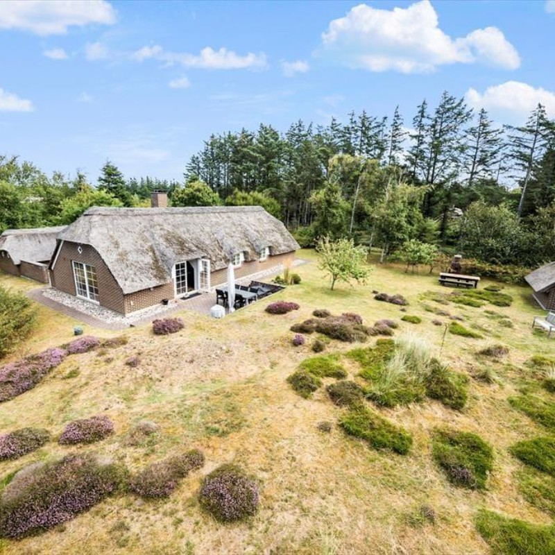 Ferienhaus - 6 Personen -  - Svollingvej - Vester Husby - 6990 - Ulfborg
