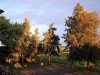 Bilde 15 - Ude
