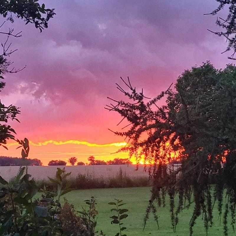 Sommerhus - 2 personer -  - Mochau - 06889