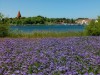 Bild 18