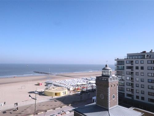 Semesterlägenhet - 4 personer -  - 8300 - Knokke - Heist
