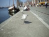 Bild 23