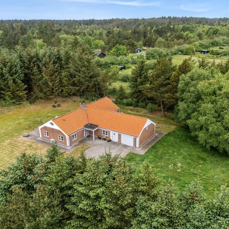 Ferienhaus - 6 Personen -  - Gammelgabvej - Nymindegab - 6830 - Nr. Nebel