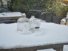 Image 14