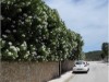 Bild 18