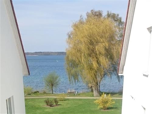 Holiday Home/Apartment - 4 persons -  - Am Seeufer - 17192 - Waren - Müritz