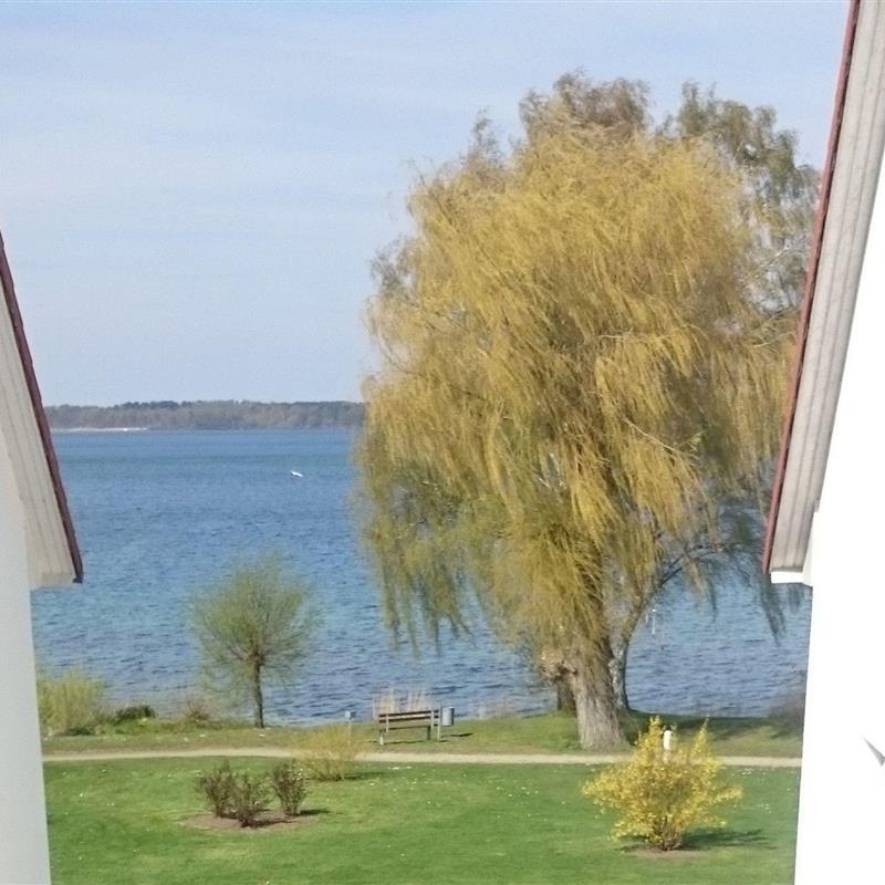 Ferielejlighed - 4 personer -  - Am Seeufer - 17192 - Waren - Müritz