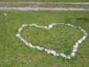 Bild 82