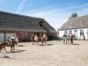 Bild 35