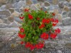 Image 83 - Outside