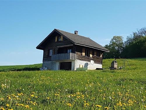 Feriehus / leilighet - 5 personer -  - Staufenhof - 4451 - Wintersingen