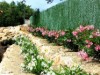 Bilde 8