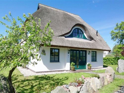 Holiday home - 6 persons -  - Dorfstraße - 18581 - Putbus Ot Neuendorf