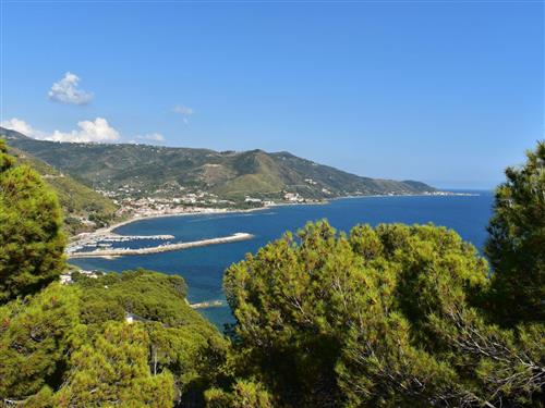 Ferielejlighed - 4 personer -  - Montecorice - 84060