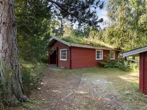 Sommerhus - 6 personer -  - Blackholmsvej - Krakær Bakker - 8400 - Ebeltoft