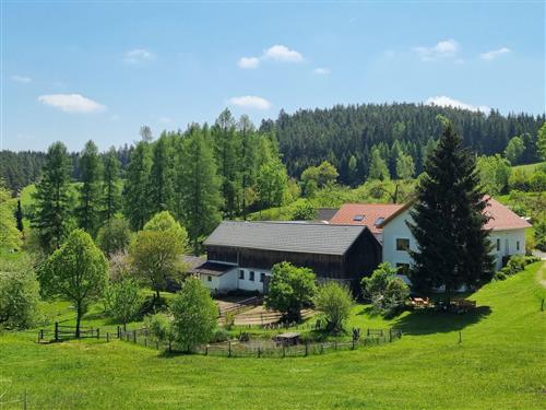 Bondegård - 6 personer -  - Kleinnondorf - 3911 - Rappottenstein