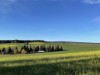 Bild 30 - Ort