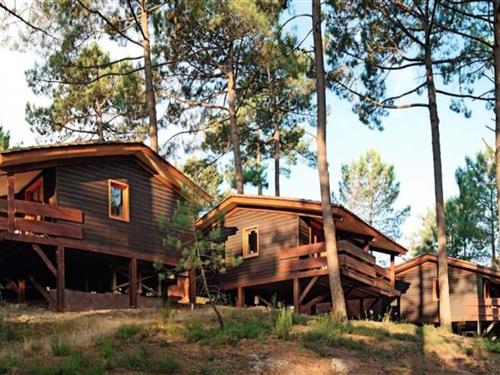 Ferielejlighed - 3 personer -  - 33121 - Carcans-Maubuisson