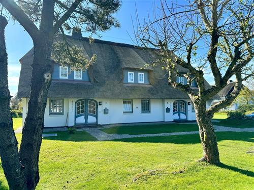 Ferielejlighed - 2 personer -  - Hochstieg - 25938 - Nieblum