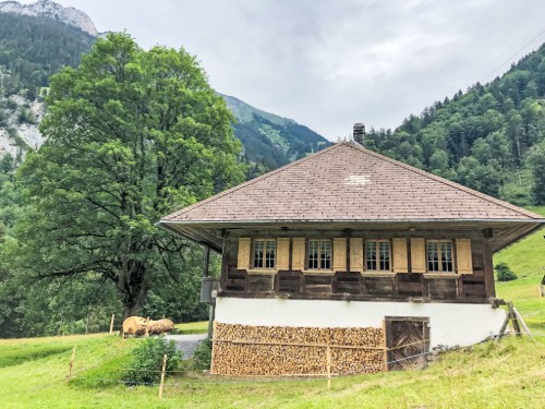 Ferieleilighet - 4 personer -  - 3723 - Kiental