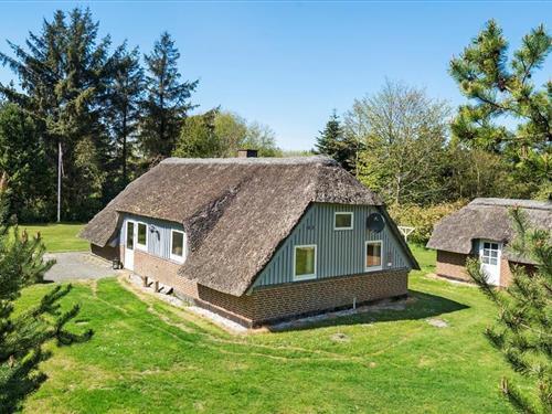 Sommerhus - 6 personer -  - Svollingvej - Vester Husby - 6990 - Ulfborg