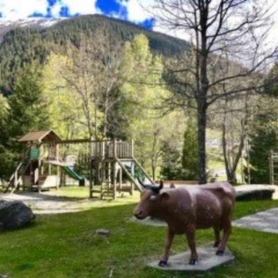 Billede 4