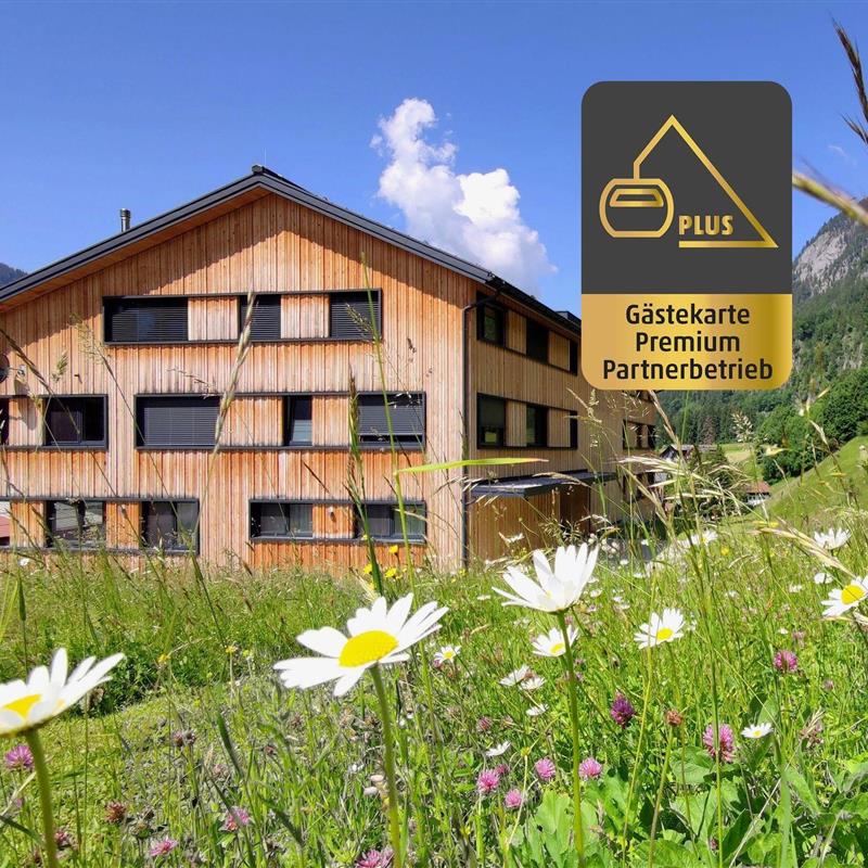 Ferielejlighed - 8 personer -  - Obere Gasse - 6752 - Dalaas / Wald Am Arlberg