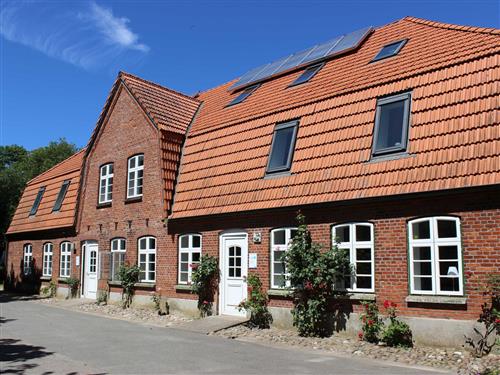 Ferienhaus - 5 Personen -  - Schwackendorf - 24376 - Hasselberg