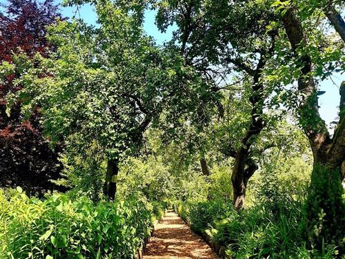 Værelse - 2 personer -  - Malche - 16259 - Bad Freienwalde (Oder)