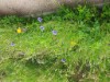 Bild 31 - Aussen