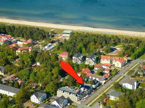 Ferieleilighet - 4 personer -  - Strandstraße - 18586 - Baabe (Ostseebad)