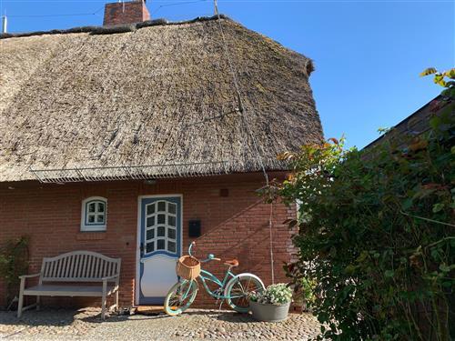 Feriehus - 4 personer -  - Hahneburg - 25836 - Garding