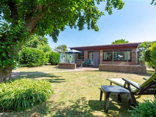 Bungalow - 4 personer -  - 1759JK - Callantsoog