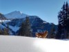 Bild 52