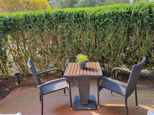 Ferielejlighed - 3 personer -  - Waldstr. 45 d - 18225 - Kühlungsborn