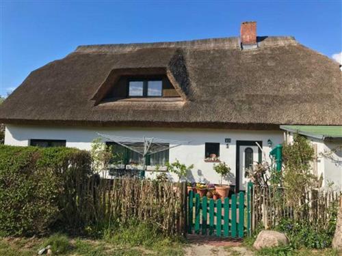 Ferienwohnung - 2 Personen -  - Süderende - 18565 - Vitte/Insel Hiddensee