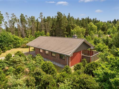 Ferienhaus - 4 Personen -  - Skovvang - Houstrup - 6830 - Nr Nebel