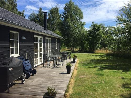 Ferienhaus - 8 Personen -  - Skolelodden - Nordkysten - 3390 - Hundested